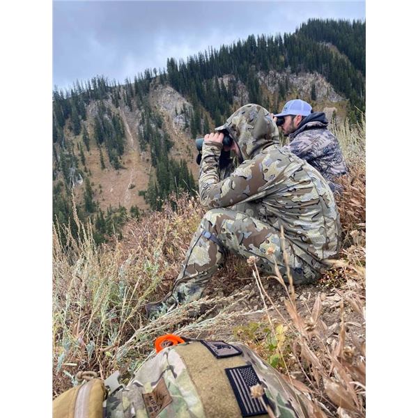 Five Day Mountain Lion Hunt in Wyoming
