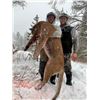 Image 2 : Five Day Mountain Lion Hunt in Wyoming