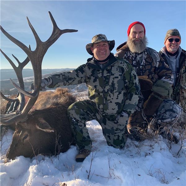 4day, 3 Night Elk Hunt for Two Hunters in Central Alberta, Canada, Elk