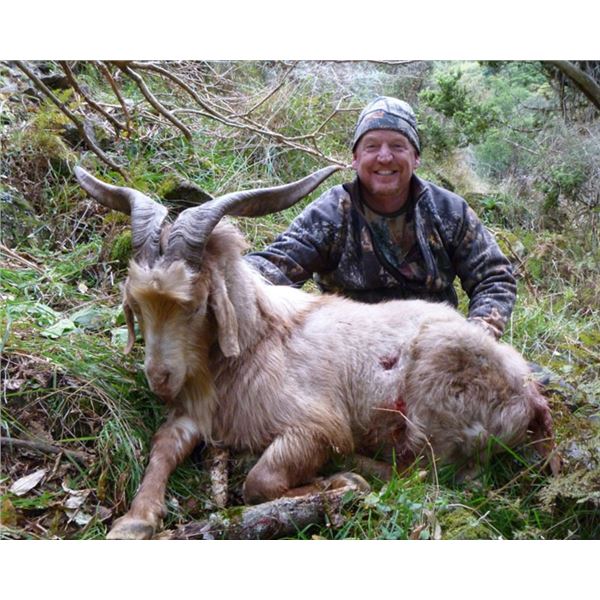 New Zealand Hunt for Two Hunters in Pursuit of Red Stag, Goat, and Ram
