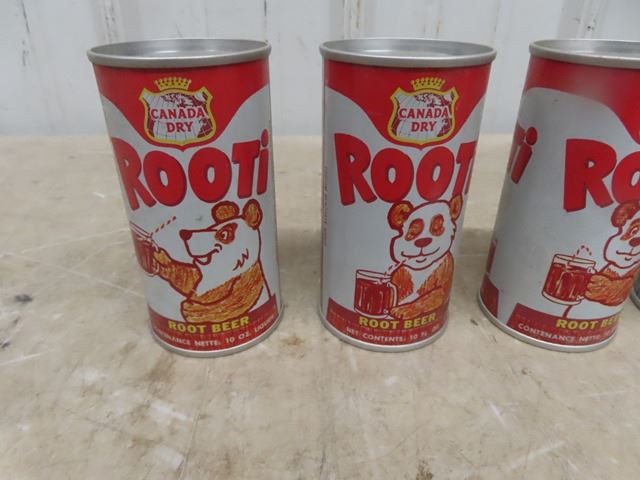 Rooti Root Beer by Canada Dry - 10oz Tin Can Bank