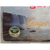 Image 6 : Niagara Dry Ginger Ale Cardboard Sign 22" x 32" 