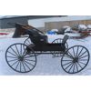 Image 3 : McCaughin Carriage Brockville Canada Single Seat Democrat Doctor Buggy with Canopy- Street Ready wit