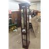 Image 2 : Modern Curio Cabinet, Side Loading - Looks Brand New 10" x 16" x 69" 