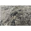 Image 2 : Area Rug 235cm X 335cm