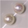 Image 1 : 5 MM PAIR OF UNDRILLED AKOYA PEARLS