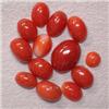 Image 1 : 10 CTS LOT OF OVAL NATURAL ITALIAN CORAL CABOCHON - DIFFERENT SIZES