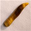 Image 1 : 10 CTS TIGER EYE HORN 33x6 MM - HALF DRILLED