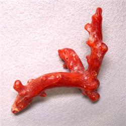 13.20 CTS FREE FORM NATURAL ITALIAN CORAL BRANCH 40x20 MM