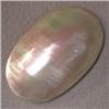 Image 1 : 26X16 MM APPR OVAL MOTHER OF PEARL