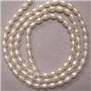 Image 1 : 4x3 MM FRESH WATER PEARL STRAND - 16 INCHES