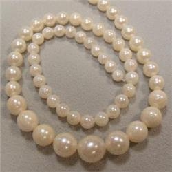 8-4 MM GRADUATED AKOYA PEARL STRAND 16 INCHES