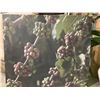 Image 1 : Framed Plant Wall Art - Canvas Prints, Wall Decor (Approximately 6ft x 7ft)