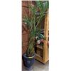 Image 1 : Large Floor Planter w/artificial Plant