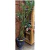 Image 1 : Large Floor Planter w/artificial Plant