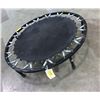 Image 2 : Mini Trampoline