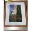 Image 3 : 3 pictures, one Sue Coleman signed, 13 x 25, 2 by Olof and Elizabeth Carmel, 18 x 22 each