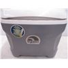 Image 2 : *Igloo cooler (needs cleaning)