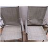 Image 3 : *(2) Lawn chairs