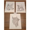 Image 1 : Three Animal Drawing Prints By HAP Wilson