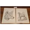 Image 2 : Three Animal Drawing Prints By HAP Wilson