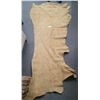 Image 1 : Deer Hide