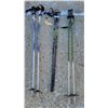 Image 1 : Three Sets Of Ski Poles