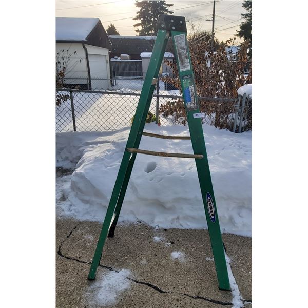 Werner 6' Step Ladder