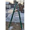 Image 1 : Werner 6' Step Ladder