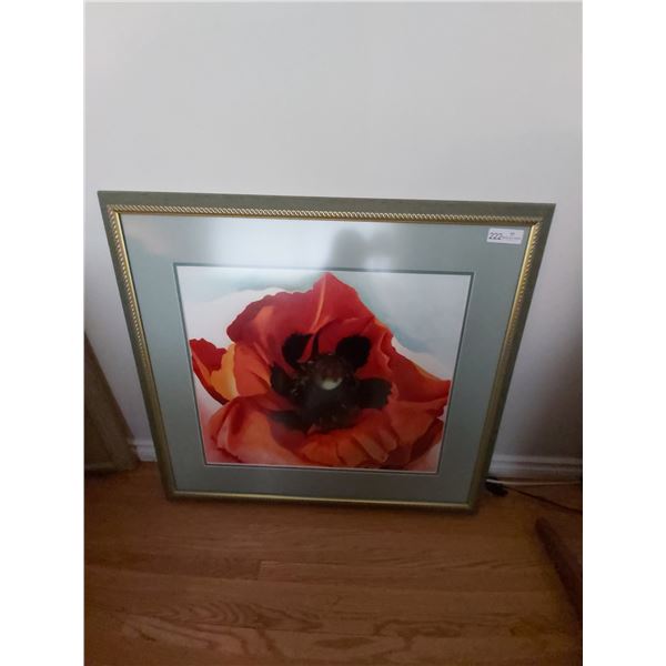 Large Poppy Print,  Artist Unknown