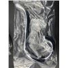 Image 2 : Lot of Nickel Robe Hooks (10ct)