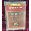 Image 8 : NICKELS - SET