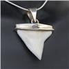 Image 1 : Shark Ivory & Sterling Necklace Earrings (JEW-195)
