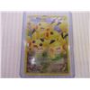 Image 2 : Pokemon Collector Card-Pikachu