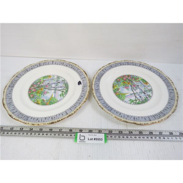 (2) Royal Albert Plates