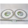 Image 1 : (2) Royal Albert Plates