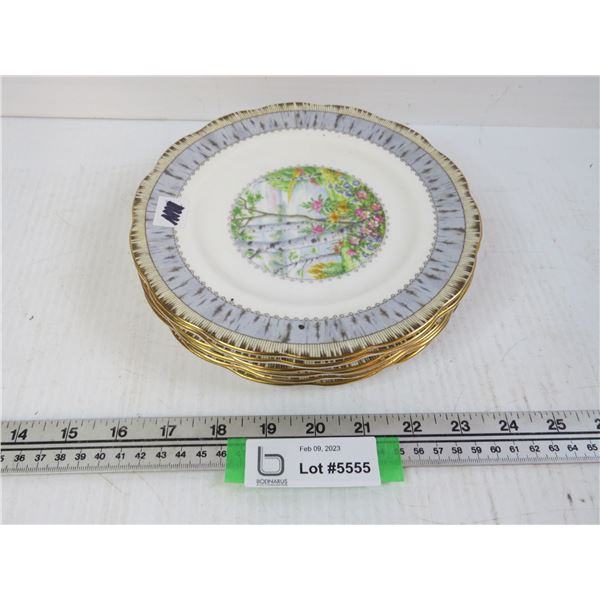 (6) Royal Albert Plates