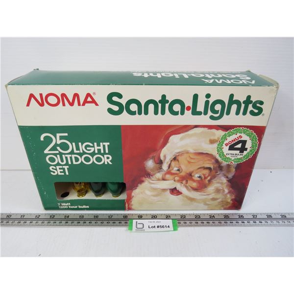 Noma Santa Lights