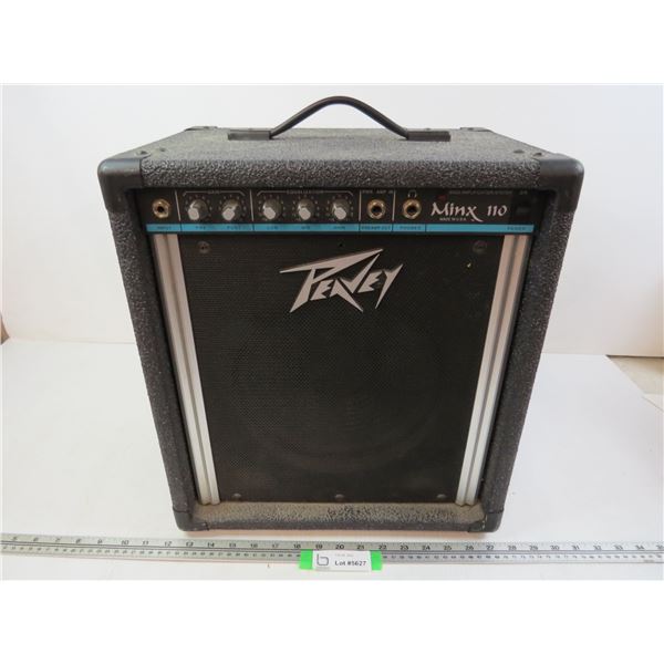 *Peavey Bass Amplification System