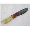 Image 2 : Damascus Steel Knife w/Bone Handle & Case