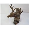 Image 4 : Wood Elk Carving (antlers look reglued)