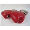 Image 3 : Everlast Boxing Gloves - Plastic Hockey Sticks