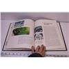 Image 3 : The Art of Walt Disney from Mickey to the Magic Kingdom