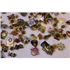 Image 4 : Lot of Assorted Pins