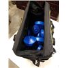 Image 1 : DEWALT TOOL BAG WITH DUMBELLS