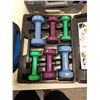 Image 2 : SMALL DUMBBELL SET AND 2 SETS OF TIRE CHAINS