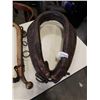 Image 8 : HORSE HANES AND COLLAR