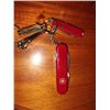 Image 1 : SWISS ARMY KIVES SALES LOT