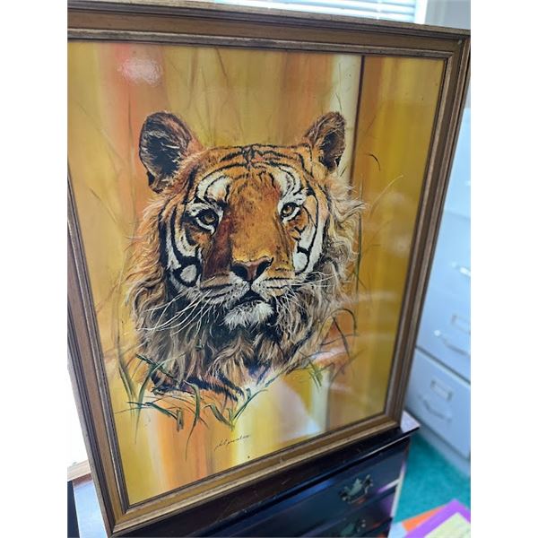 Framed 1906s Phil Prentice Tiger Print (rare )