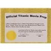Image 2 : Titanic Movie Prop Ship Swatch
